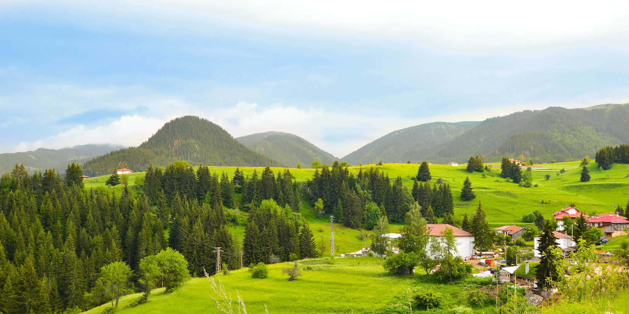 Villa Beevski